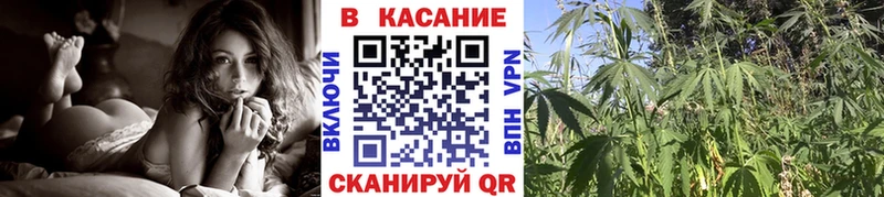 Что такое Олонец Кокаин  Кетамин  Канабис  Меф  АМФЕТАМИН 
