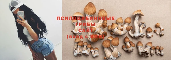 бутират Гусь-Хрустальный